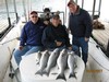(04/04/2017) - Nice Striped Bass